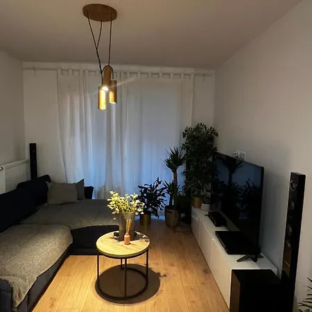 Apartament Z Kwiatami Centrum Mieszczanska Przy Odrze New * Вроцлав